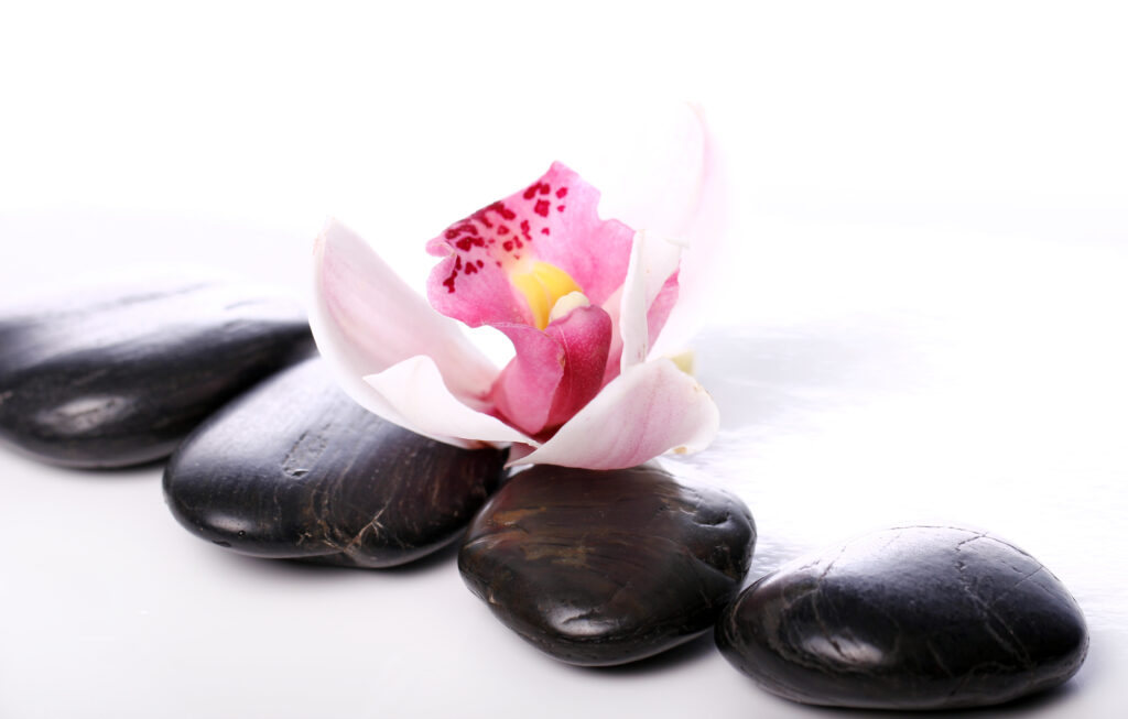 hot stones with an orchid